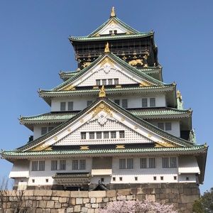 Meet your Posher, Jamison